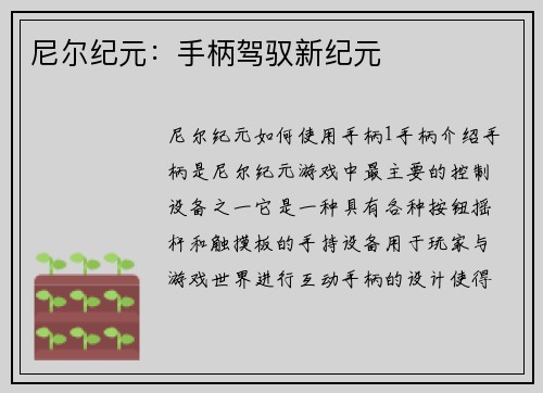 尼尔纪元：手柄驾驭新纪元